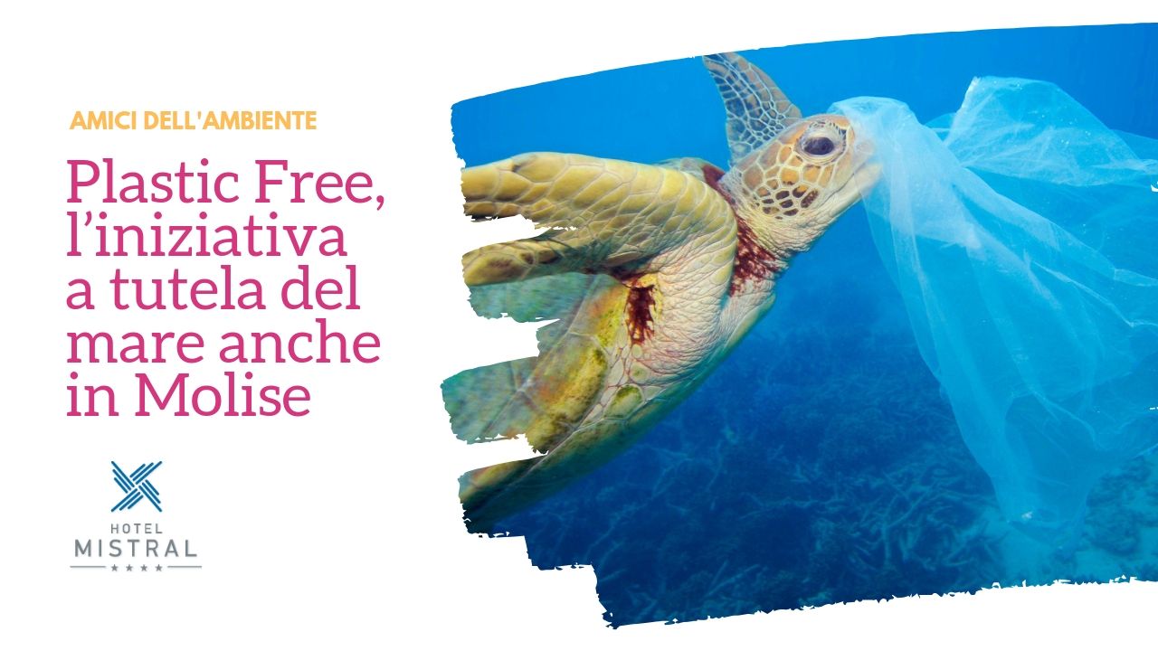 Plastic Free, l’iniziativa a tutela del mare anche in Molise