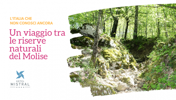 The region with uncontaminated landscapes: the Molise reserves