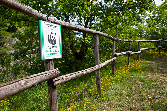 Territorio Termoli - itinerari turistici oasi WWF Guardiaregia